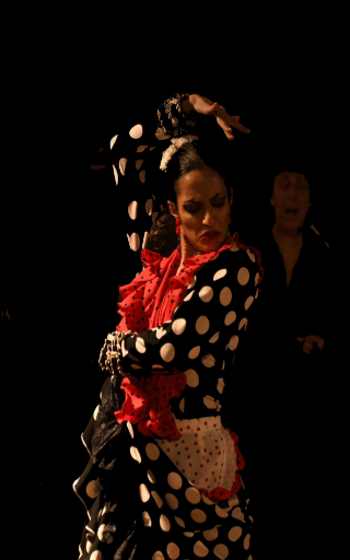 teatro flamenco en Valencia