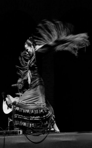 espectaculo flamenco en Valencia